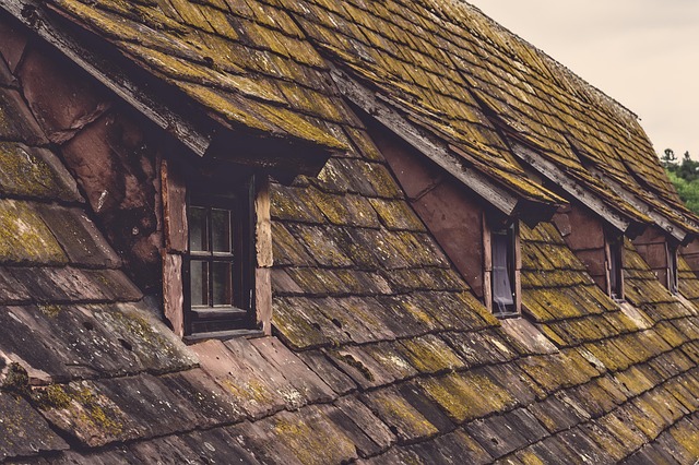 shingle roof repair