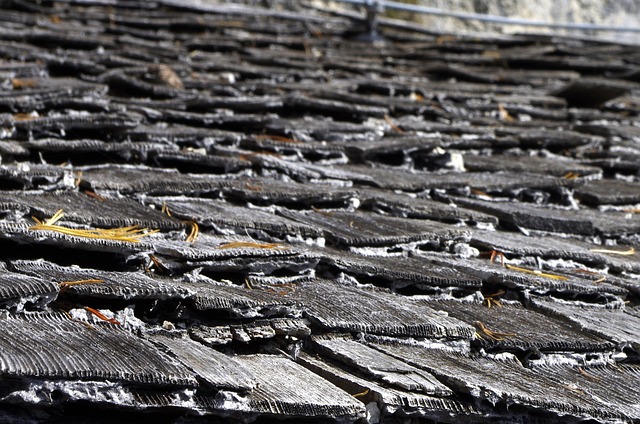 shingle roof repair