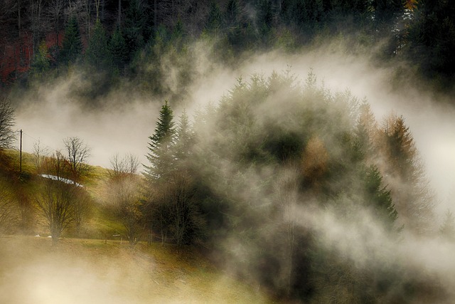Steam Cleaning
