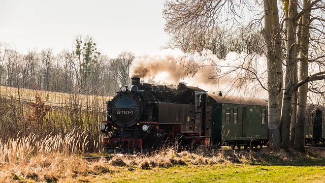 Steam Cleaning