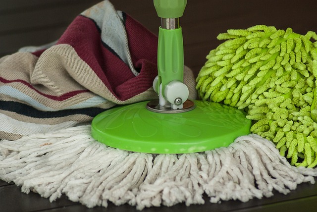 steam-cleaning-for-allergy-friendly-carp-640x480-99702459.jpeg