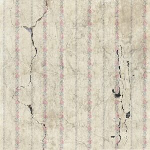 Stem Wall Repair: Unlocking Structural Integrity with Crack Injection Services