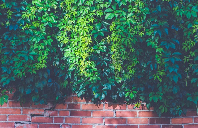 Stem Wall Repair