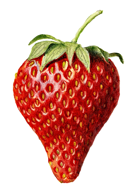 Strawberry Rosin Gummies