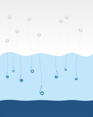 Unleash Local SEO Power with Effective Schema Markup Strategies