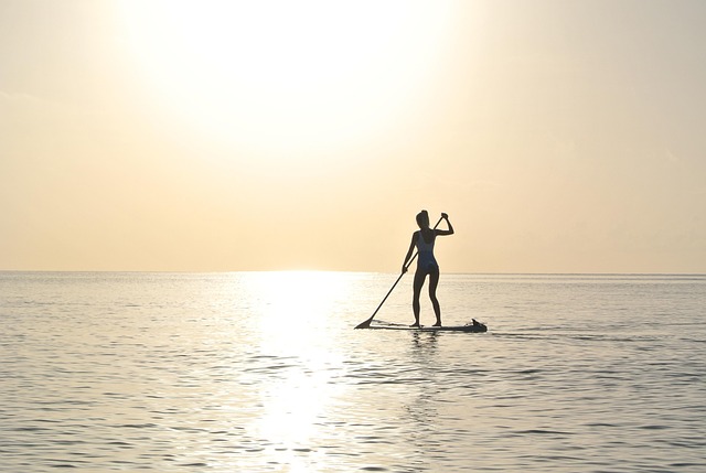 surfboard for beginners