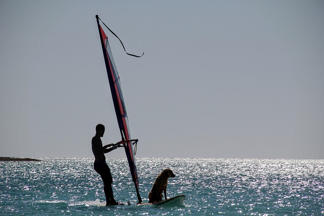 surfboard for beginners