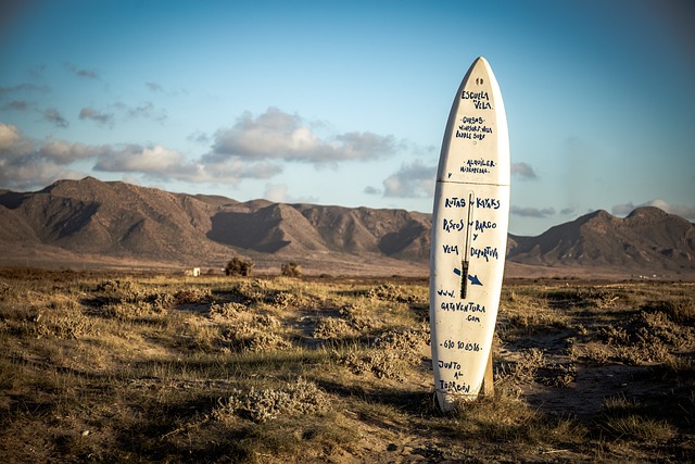 surfboard for beginners