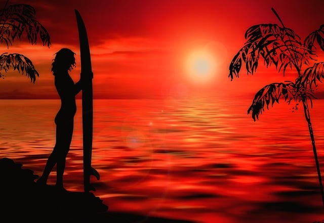 surfboard for beginners