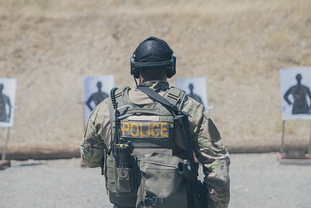 tactical dog harness