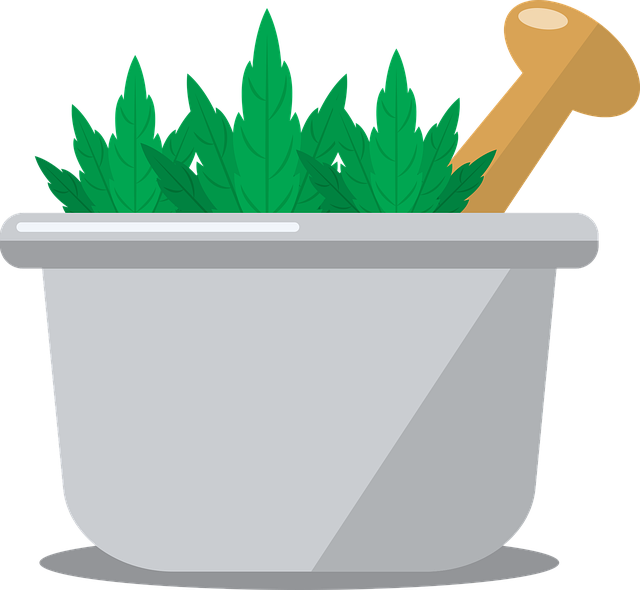 Termite Treatment