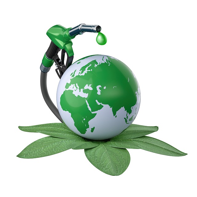 Tile and Grout Cleaning With Eco-Friendly Solutions
