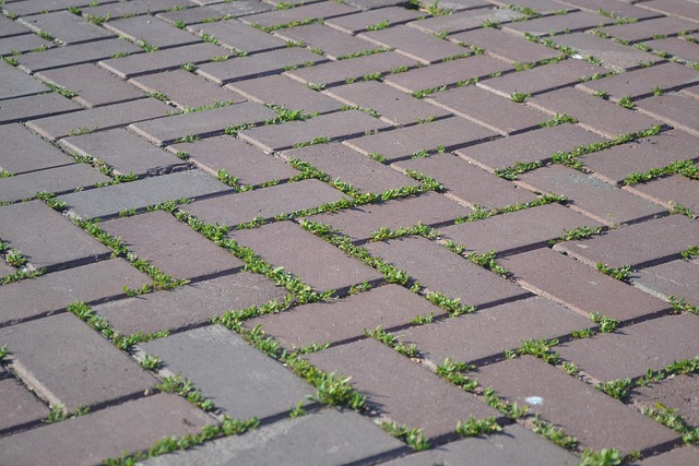 Tile Cleaning