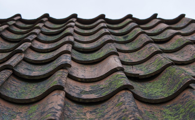 Tile Restoration