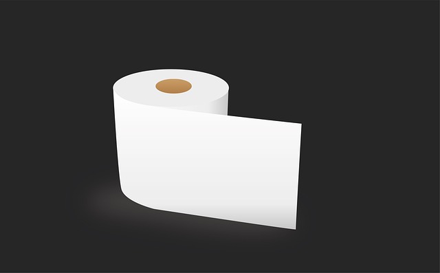 Toilet Installation
