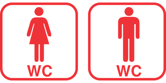 Toilet Installation