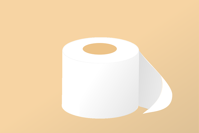 Toilet Installation