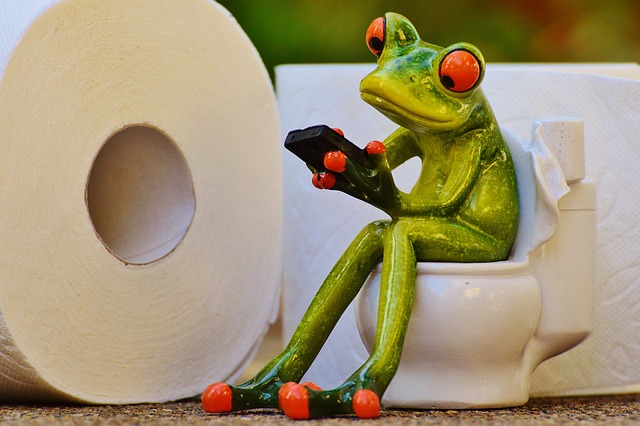 Toilet Installation