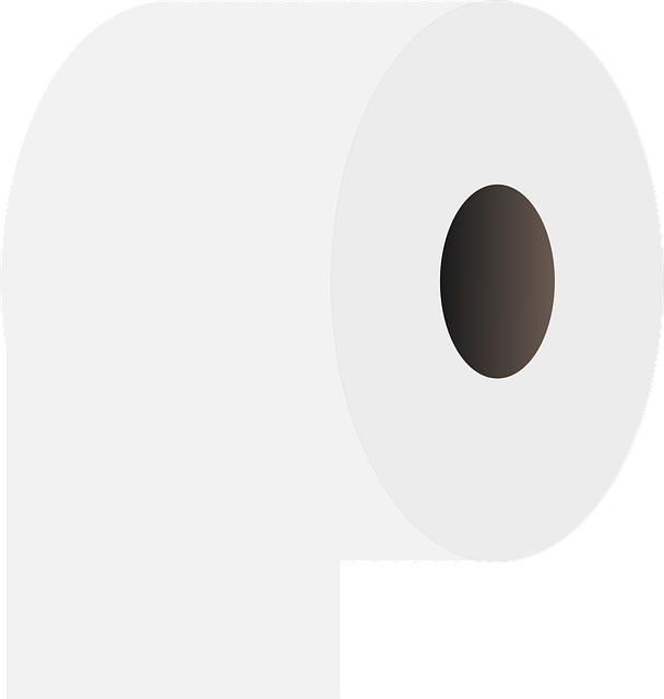 toilet-installation-640x480-24698606.png