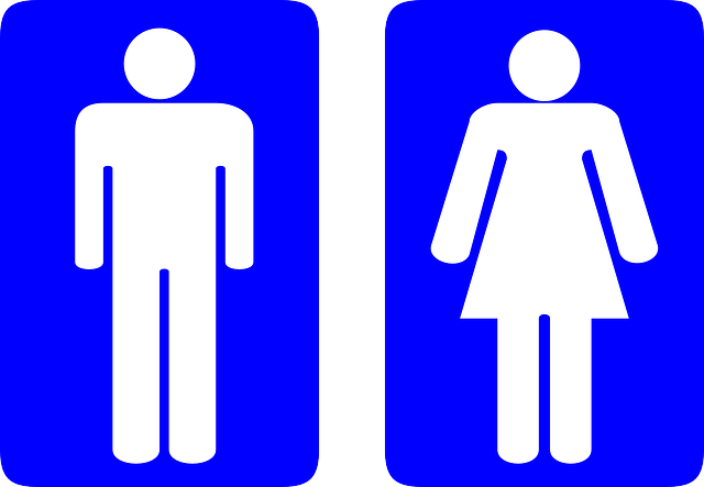 Toilet Installation