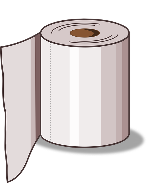 Toilet Installation