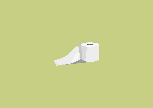 Toilet Installation