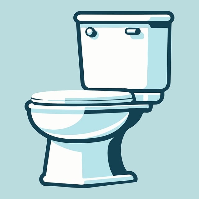toilet-installation-640x480-31406209.jpeg