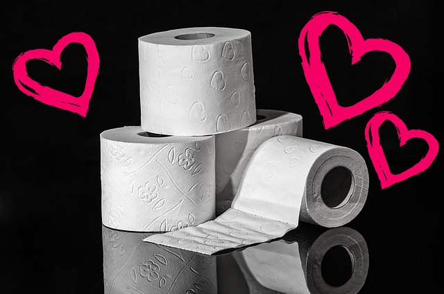 Toilet Installation