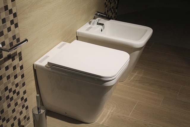 Toilet Installation