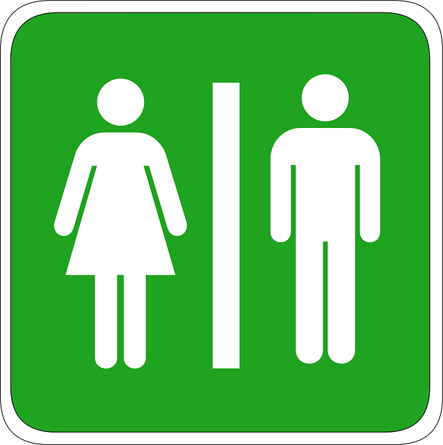 Toilet Installation