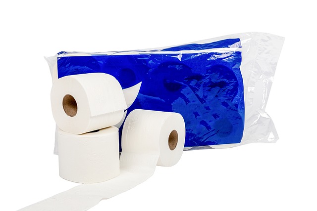 Toilet Installation