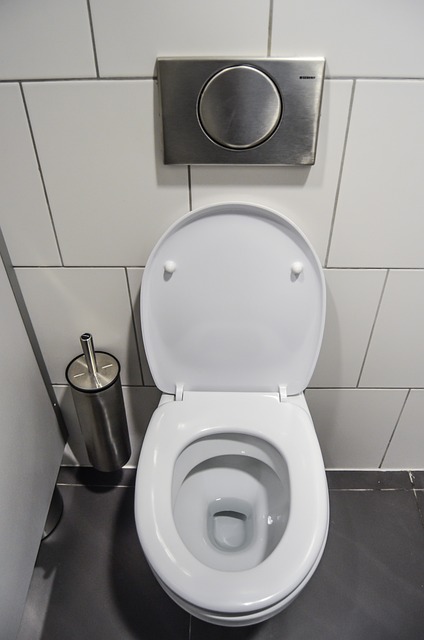 Toilet Installation