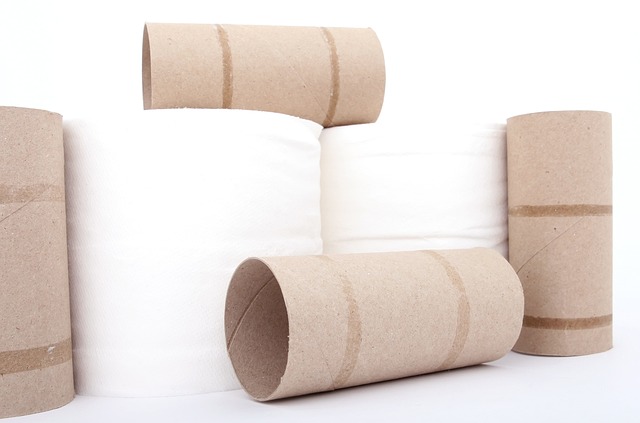 Toilet Installation