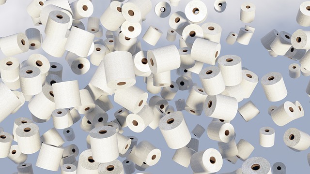 Toilet Installation