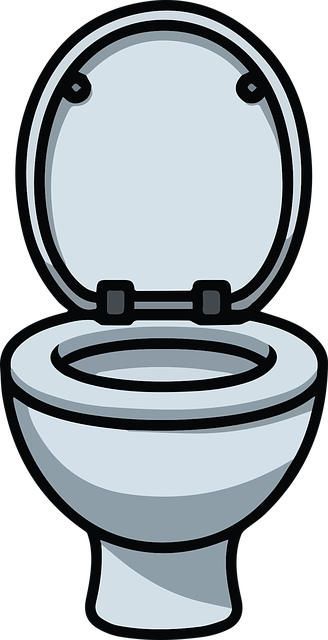 Toilet Installation
