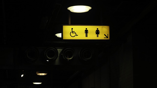 Toilet Installation