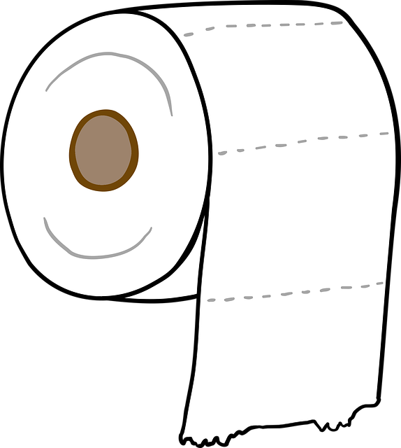 Toilet Installation