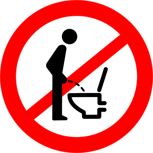 toilet-installation-640x480-8385879.png