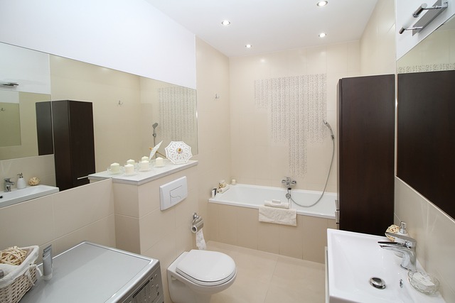 toilet-installation-640x480-89997719.jpeg