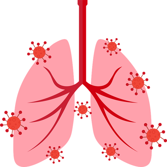 Understanding the Endocannabinoid System