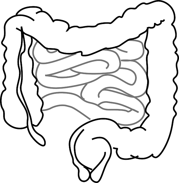Understanding the Endocannabinoid System