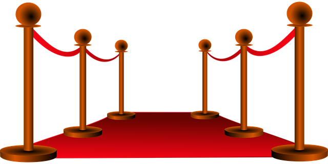 Upholstery and Carpet Cleaning Packages