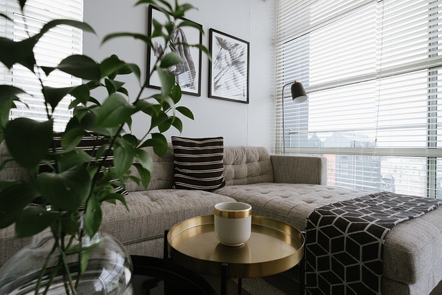 Upholstery and Carpet Cleaning Packages