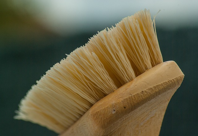 Upholstery Cleaning