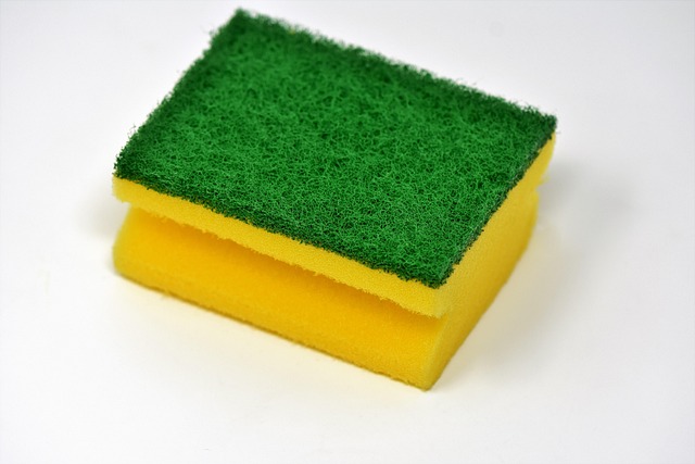 Upholstery Cleaning