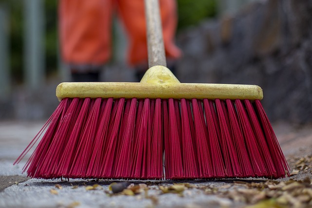 Upholstery Cleaning