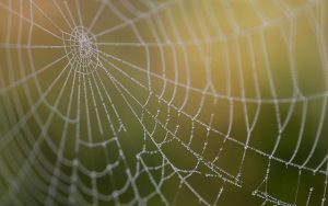 Mastering High-Quality Web Design: Comprehensive Principles for Success