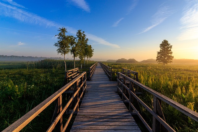 web-design-640x480-63735921.jpeg
