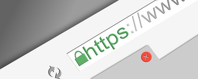 Website Development