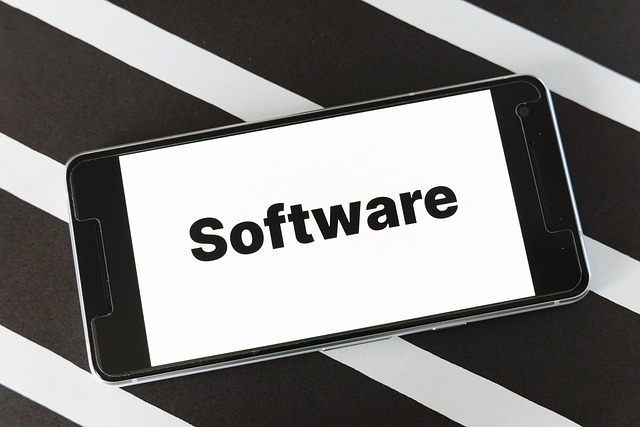 Website Development